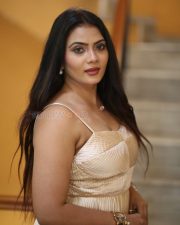 Heroine Anupama Prakash at Mr Reddy Pre Release Event Photos 31