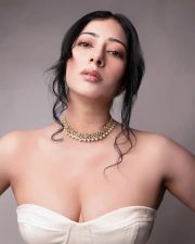 Provocative Niharica Raizada in a White Strapless Corset Top Pictures 03 Provocative Niharica Raizada in a White Strapless Corset Top Pictures 03