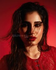 Ravishing Rasha Thadani in a Crimson Lace Dress Photos 06
