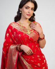 Resplendent Actress Shivangi Verma in a Red Banarasi Silk Saree Photos 03