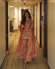 Winsome Actress Rasha Thadani in a Pink Coral Embroidered Saree Photos 08