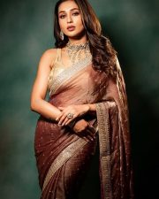 Bengali Actress Mimi Chakraborty in a Rust Coloured Saree with a Sleeveless Embroidered Blouse Photos 02