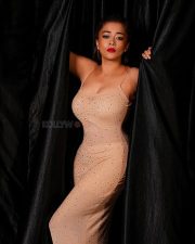 Curvy Beauty Tina Datta in a Beige Bodycon Dress Pictures 01