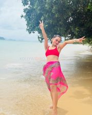 Sexy Mimi Chakraborty in a Red Pink Two Piece Bikini Pictures 02