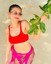Sexy Mimi Chakraborty in a Red Pink Two Piece Bikini Pictures 03