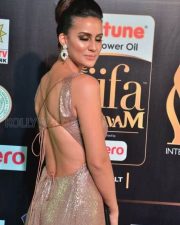 Actress Lerisa Bonisa At Iifa Utsavam 2017 Pictures 03