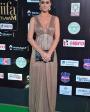 Actress Lerisa Bonisa At Iifa Utsavam 2017 Pictures 08