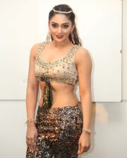 Actress Natasha Doshi At Bang Bang New Year 2019 Celebration Photos 60