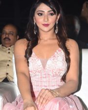 Actress Natasha Doshi At Entha Manchivadavura Pre release Event Pictures 09