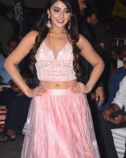 Actress Natasha Doshi At Entha Manchivadavura Pre release Event Pictures 14