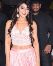 Actress Natasha Doshi At Entha Manchivadavura Pre release Event Pictures 15