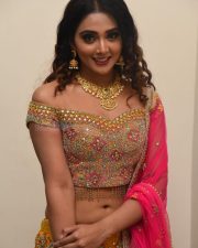 Actress Natasha Doshi At Vb Entertainments Venditera Awards 2018 2019 Photos 04