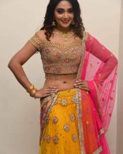 Actress Natasha Doshi At Vb Entertainments Venditera Awards 2018 2019 Photos 05