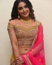 Actress Natasha Doshi At Vb Entertainments Venditera Awards 2018 2019 Photos 09