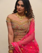Actress Natasha Doshi At Vb Entertainments Venditera Awards 2018 2019 Photos 14