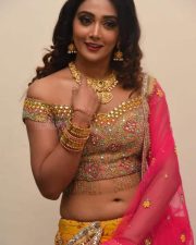Actress Natasha Doshi At Vb Entertainments Venditera Awards 2018 2019 Photos 17