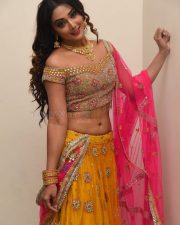 Actress Natasha Doshi At Vb Entertainments Venditera Awards 2018 2019 Photos 18