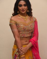 Actress Natasha Doshi At Vb Entertainments Venditera Awards 2018 2019 Photos 20