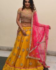 Actress Natasha Doshi At Vb Entertainments Venditera Awards 2018 2019 Photos 21