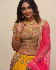 Actress Natasha Doshi At Vb Entertainments Venditera Awards 2018 2019 Photos 23
