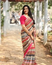 Actress Laya at Sampradayini Suppini Suddapoosani Movie Press Meet Photos 06