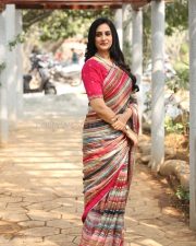 Actress Laya at Sampradayini Suppini Suddapoosani Movie Press Meet Photos 07