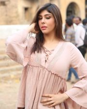 Actress Aditi Singh New Stills 20 Actress Aditi Singh New Stills 20