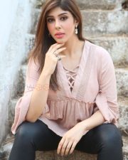 Actress Aditi Singh New Stills 40 Actress Aditi Singh New Stills 40