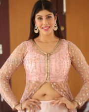 Actress Aditi Singh Photos 37