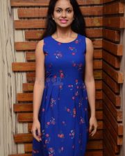 Actress Model Pallavi Dora Photos 25