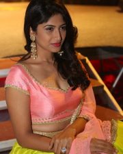 Actress Roshini Prakash Photos 10