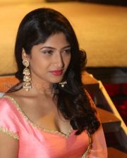 Actress Roshini Prakash Photos 11