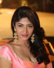 Actress Roshini Prakash Photos 12