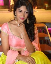 Actress Roshini Prakash Photos 16