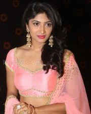 Actress Roshini Prakash Photos 27