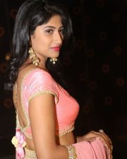 Actress Roshini Prakash Photos 30