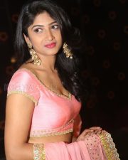 Actress Roshini Prakash Photos 31