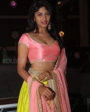 Actress Roshini Prakash Photos 33