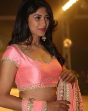 Actress Roshini Prakash Photos 35