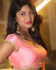 Actress Roshini Prakash Photos 49