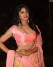 Actress Roshini Prakash Photos 59