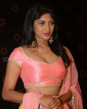 Actress Roshini Prakash Photos 62