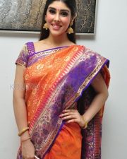 Aditi Singh In Saree Photos 01