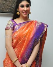 Aditi Singh In Saree Photos 05