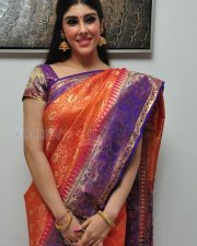 Aditi Singh In Saree Photos 10