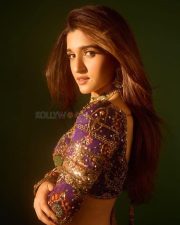 Resplendent Actress Nidhi Shah in a Purple Red Embroidered Lehenga Photos 05