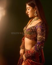 Resplendent Actress Nidhi Shah in a Purple Red Embroidered Lehenga Photos 06