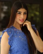 Telugu Actress Aditi Singh Photoshoot Pictures 27