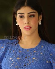 Telugu Actress Aditi Singh Photoshoot Pictures 28