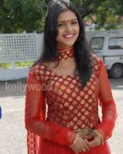 Telugu Actress Sanchita Padukone Pictures 09